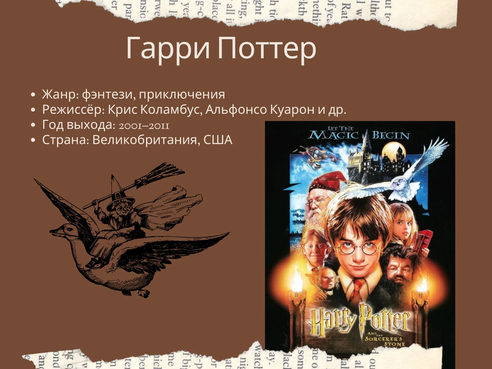 Harry Potter
