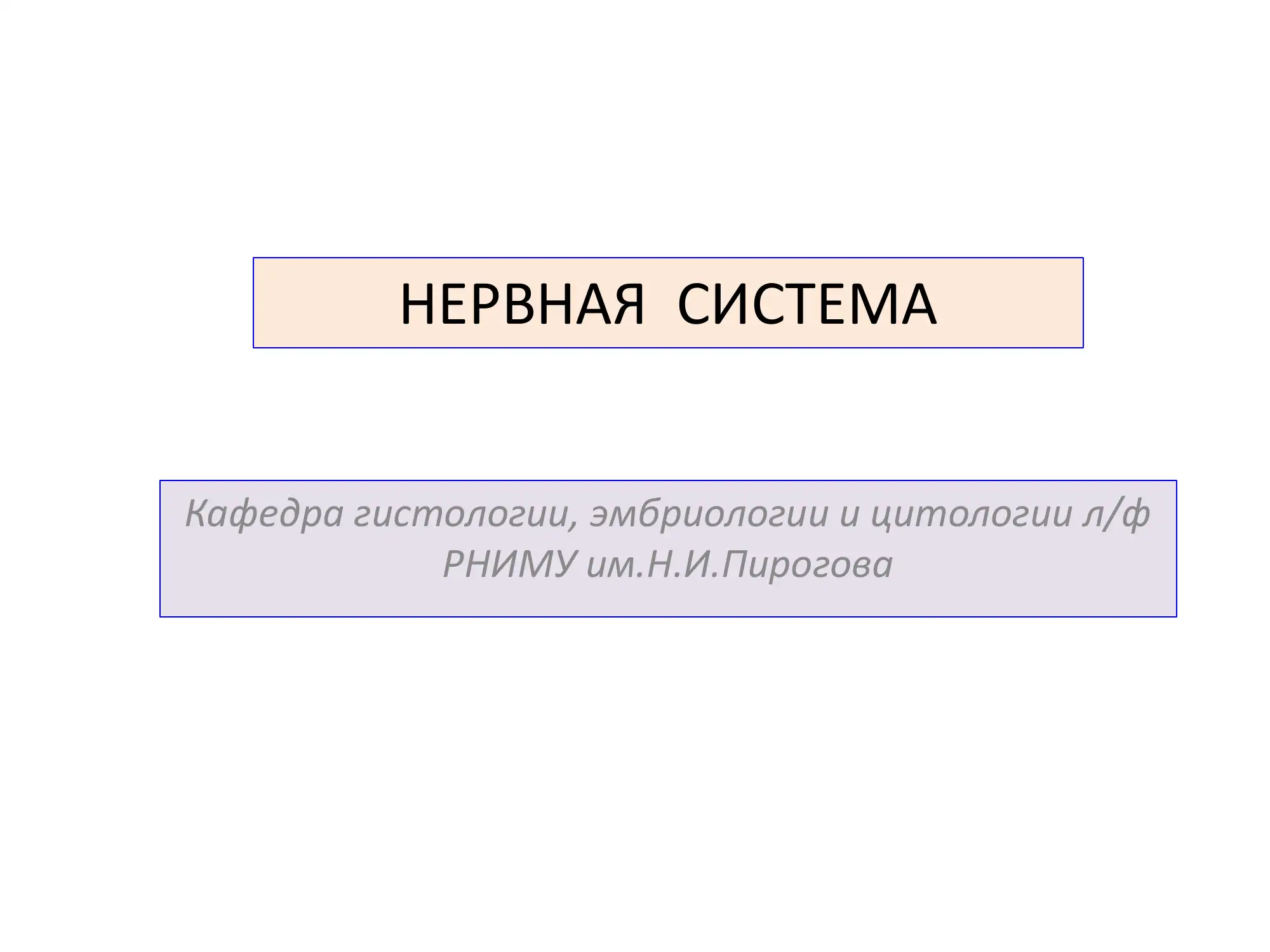 НЕРВНАЯ СИСТЕМА