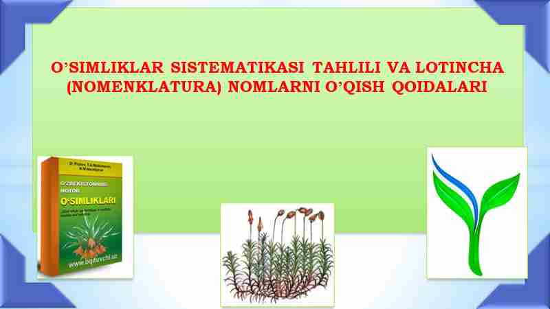OʼSIMLIKLAR SISTEMATIKASI TAHLILI VA LOTINCHA (NOMENKLATURA) NOMLARNI OʼQISH QOIDALARI
