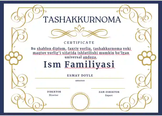 TASHAKKURNOMA shablon tayyori andoza
