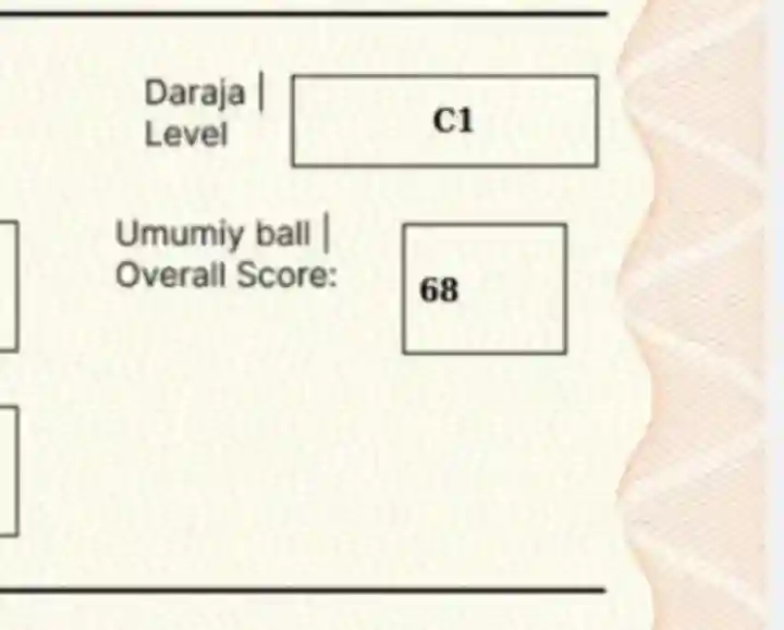 card img