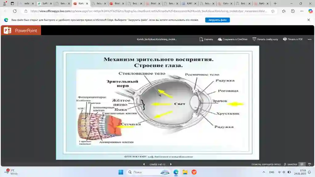 sayt uchun jozibali form qismi