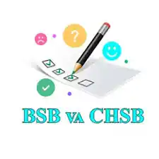 BSB va CHSB hisobotlarini tayyorlovchi