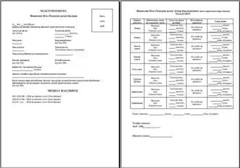 Ma'lumotnoma, obyektivka va rezyume namunasi