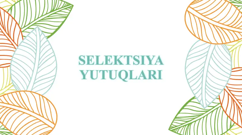 SELEKTSIYA YUTUQLARI