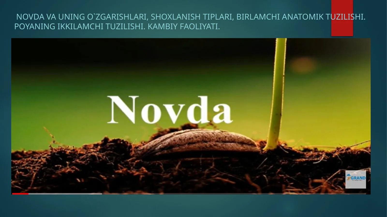 Novda va uning o`zgarishlari