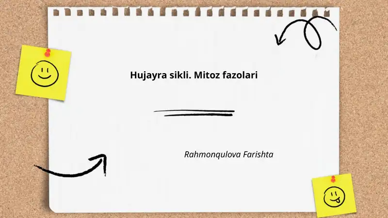 Hujayra sikli. Mitoz fazolari