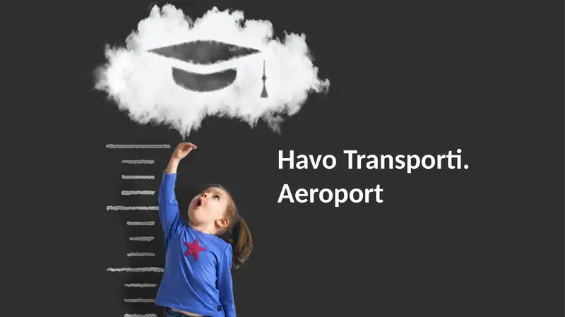 Havo Transporti