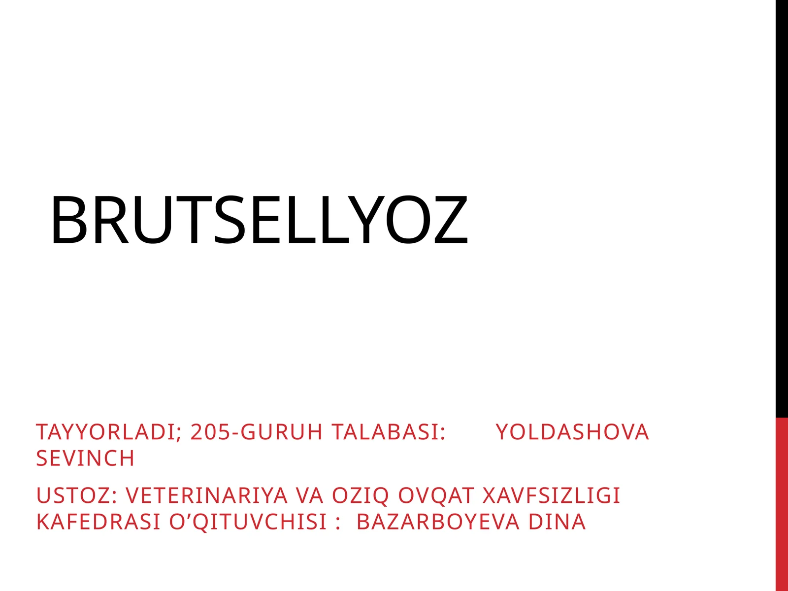 Brutsellyoz
