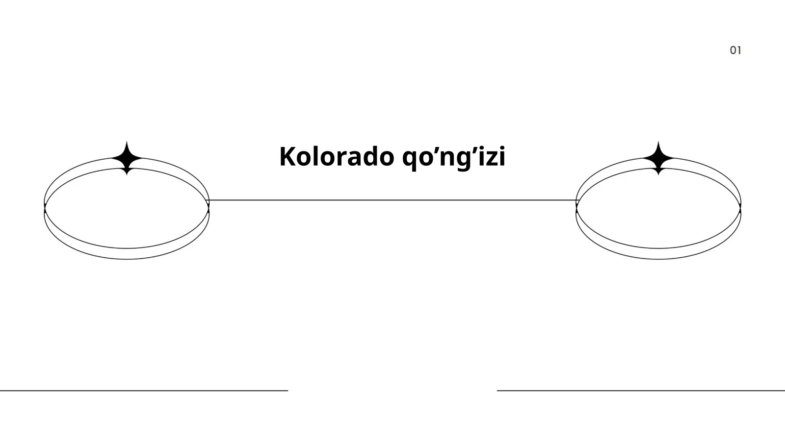 Kolorado qo’ng’izi