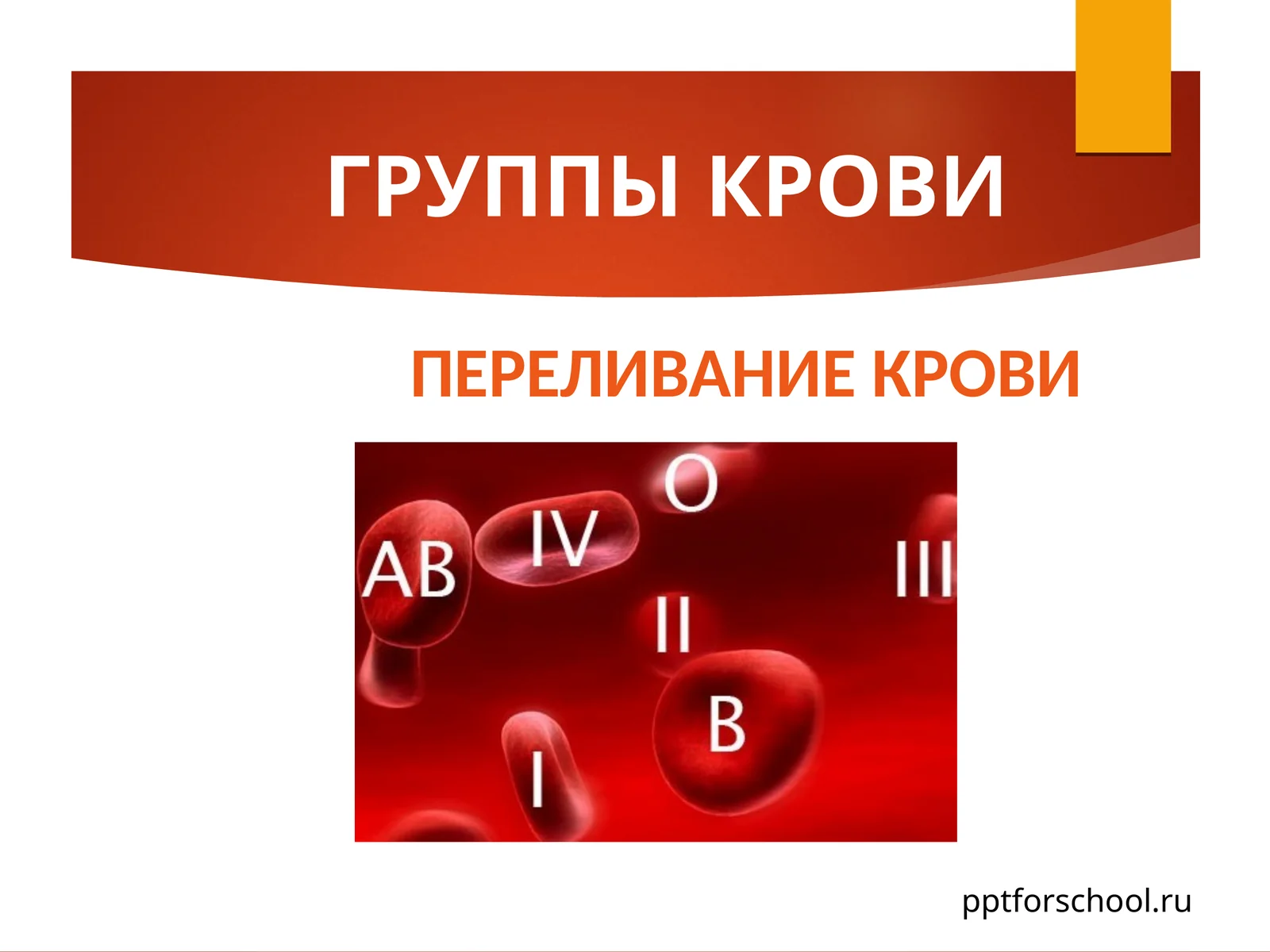 ГРУППЫ КРОВИ