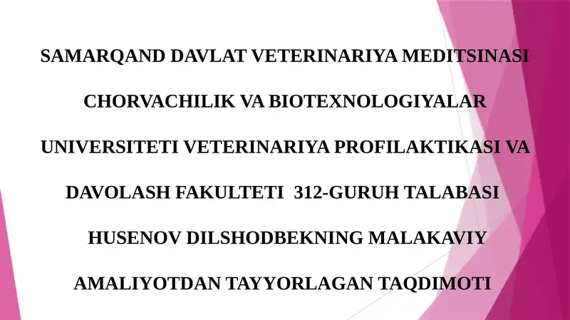 HUSENOV DILSHODBEKNING MALAKAVIY AMALIYOTDAN TAYYORLAGAN TAQDIMOTI