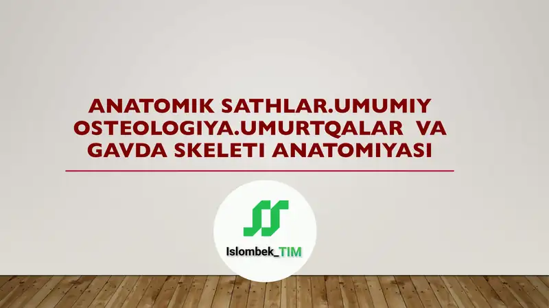 Anatomik sathlar. Umumiy osteologiya. Umurtqalar va gavda skeleti anatomiyasi