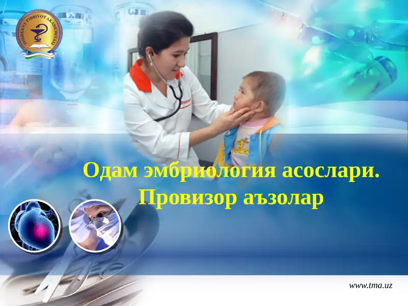 Одам эмбриология асослари. Провизор аъзолар