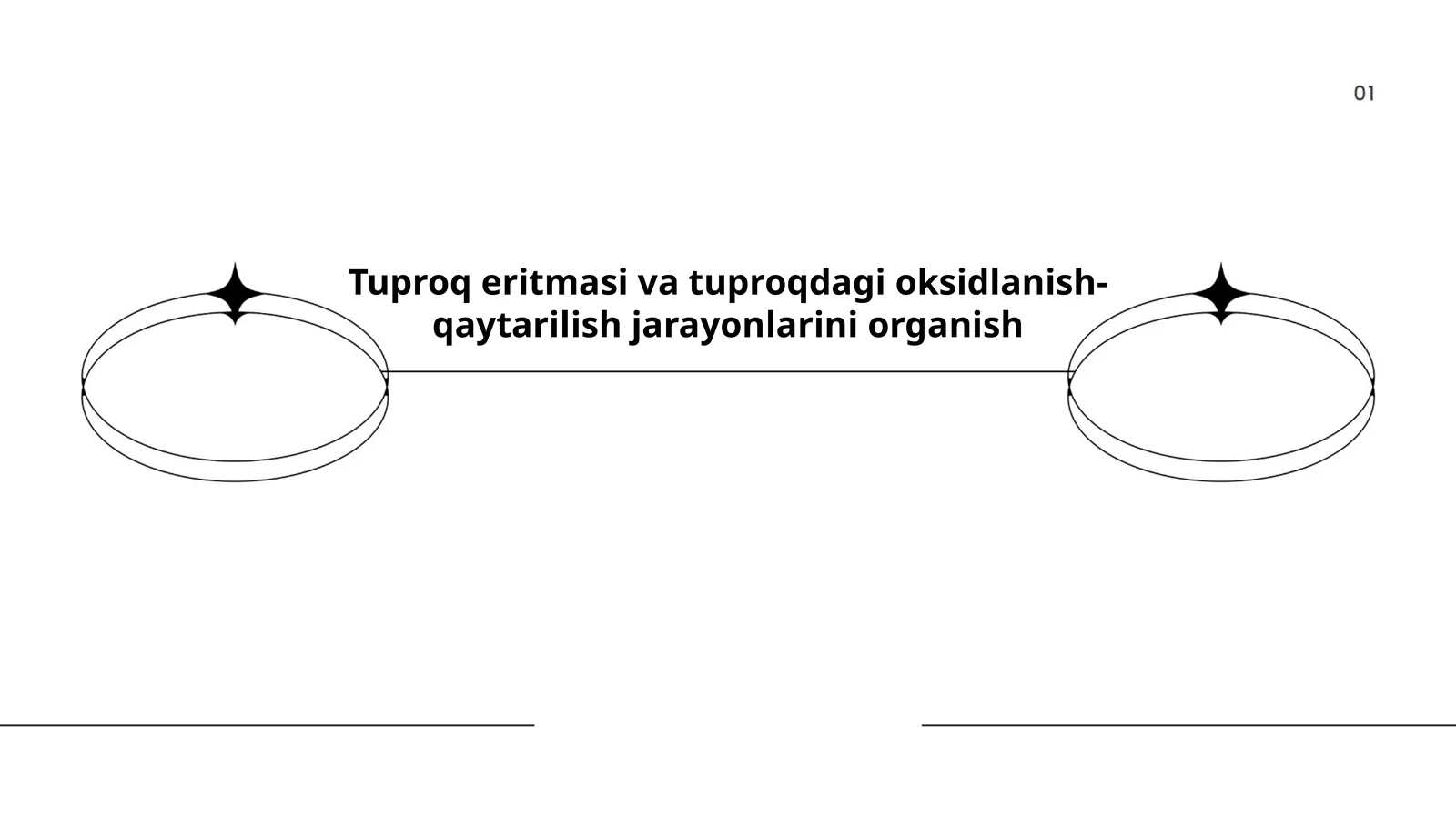 Tuproq eritmasining kimyoviy tarkibi