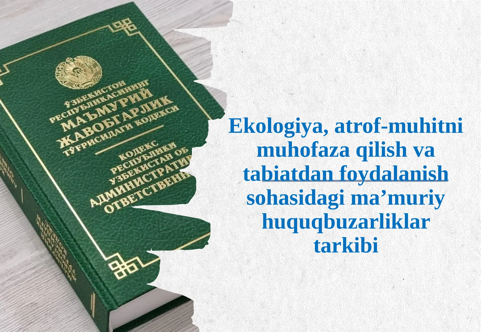 Ekologiya, atrof-muhitni muhofaza qilish va tabiatdan foydalanish sohasidagi ma’m