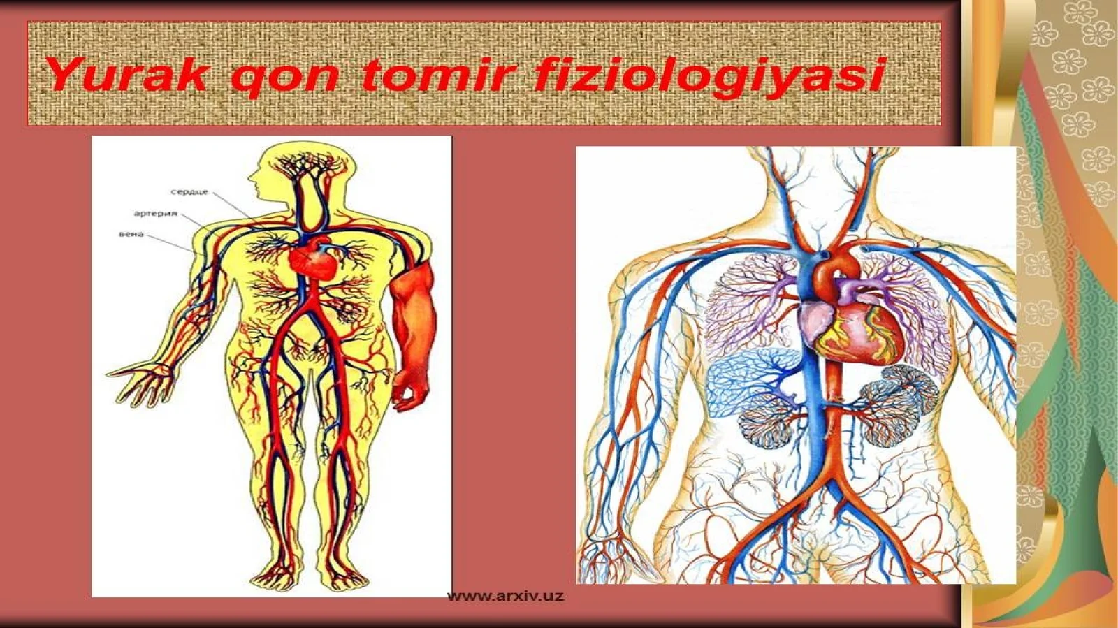 QON AYLANISH TIZIMIGA UMUMIY TAVSIFNOMA