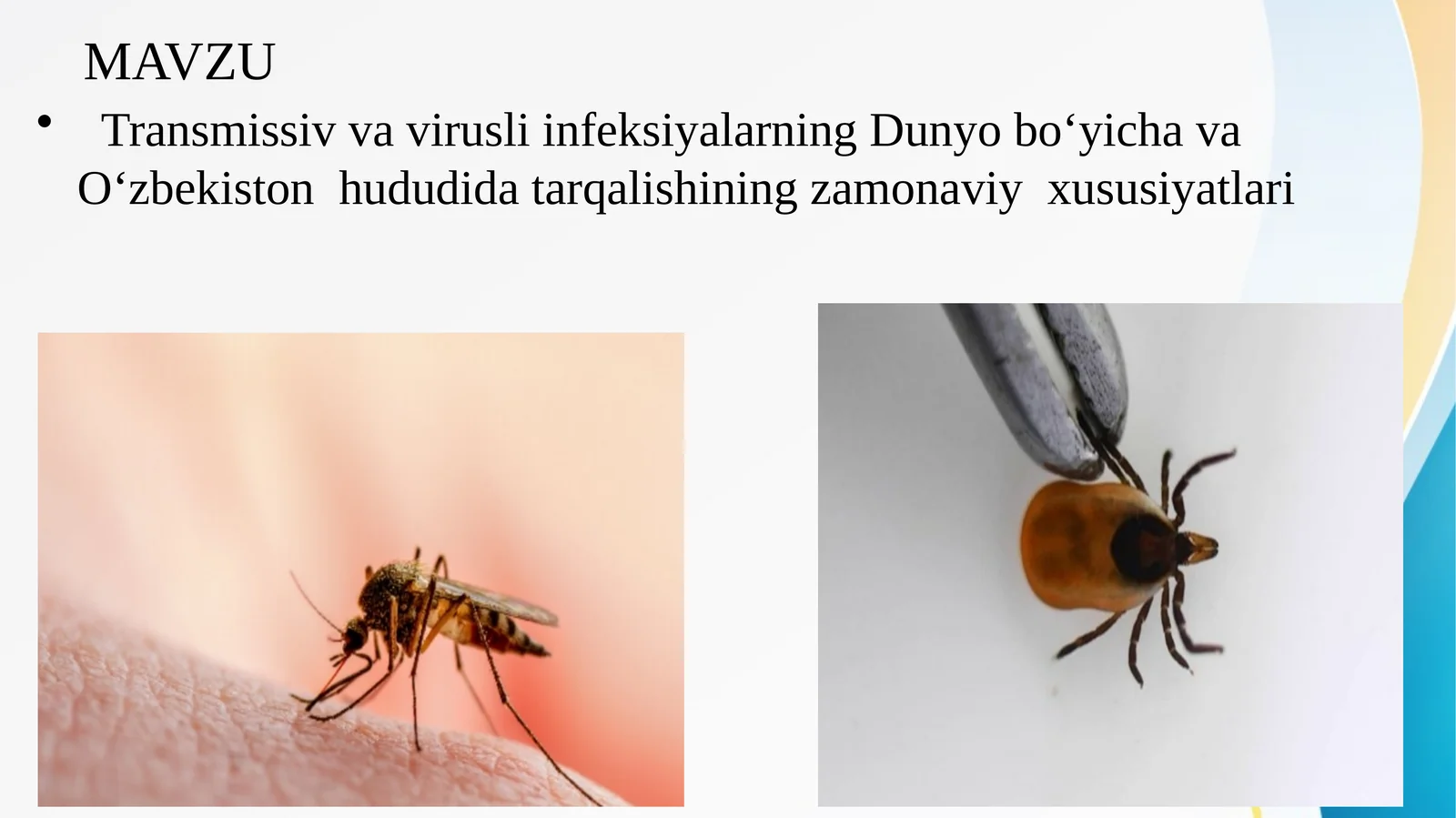 Transmissiv va virusli infeksiyalarning Dunyo boʻyicha va Oʻzbekiston  hududida tarqalishining zamonaviy  xususiyatlari