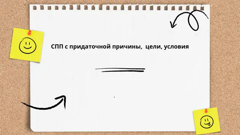 Придаточные предложения причины в СПП