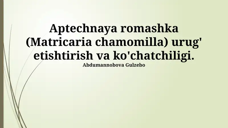 Aptechnaya romashka (Matricaria chamomilla)