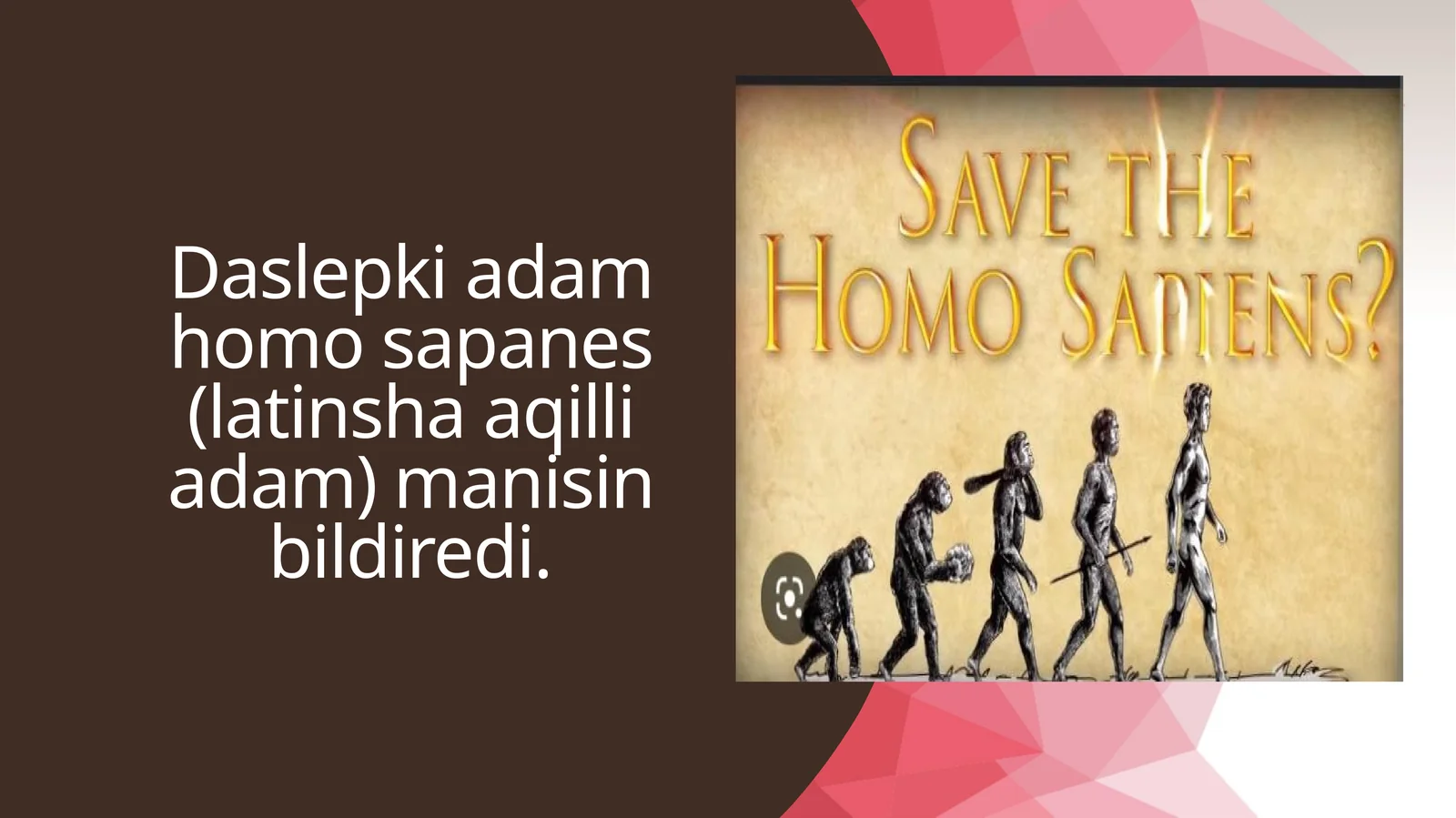Daslepki adam homo sapanes