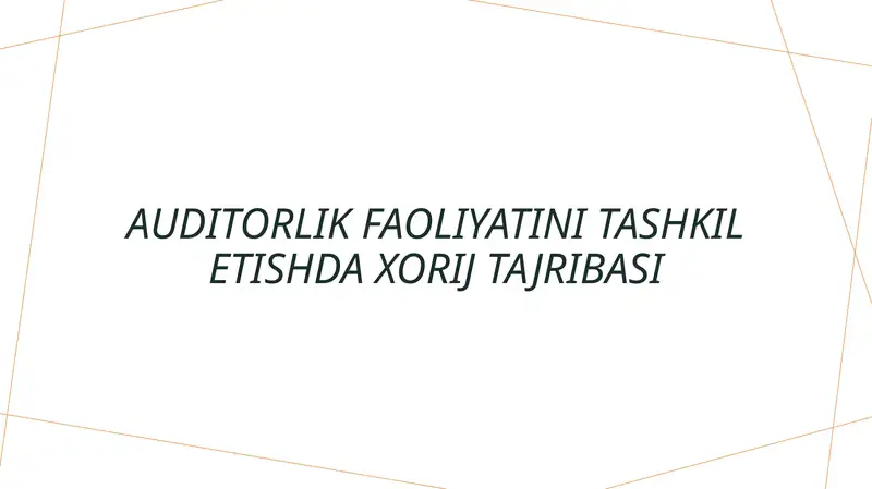 Auditorlik faoliyatini tashkil etishda xorij tajribasi