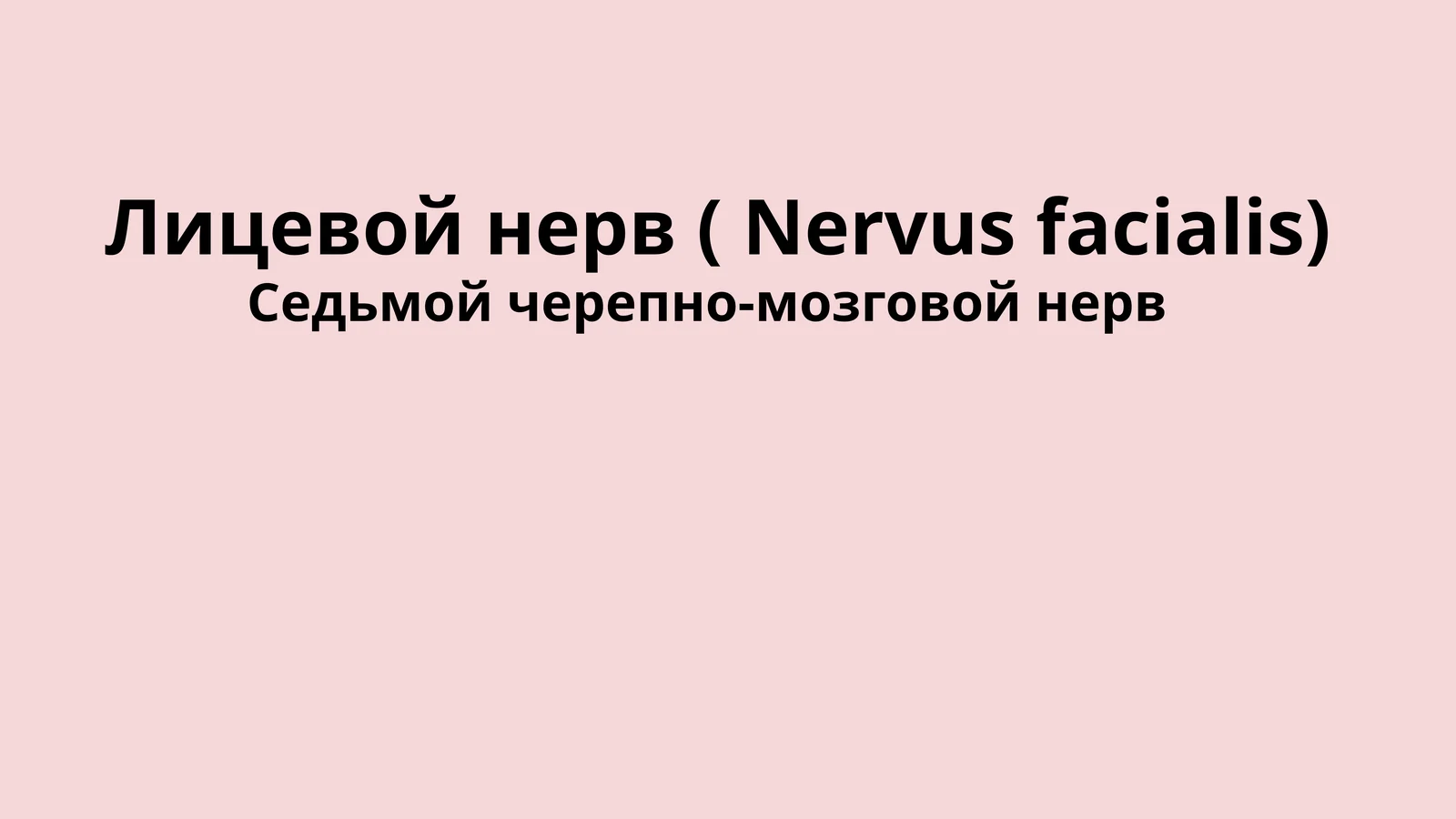 Nervus facialis