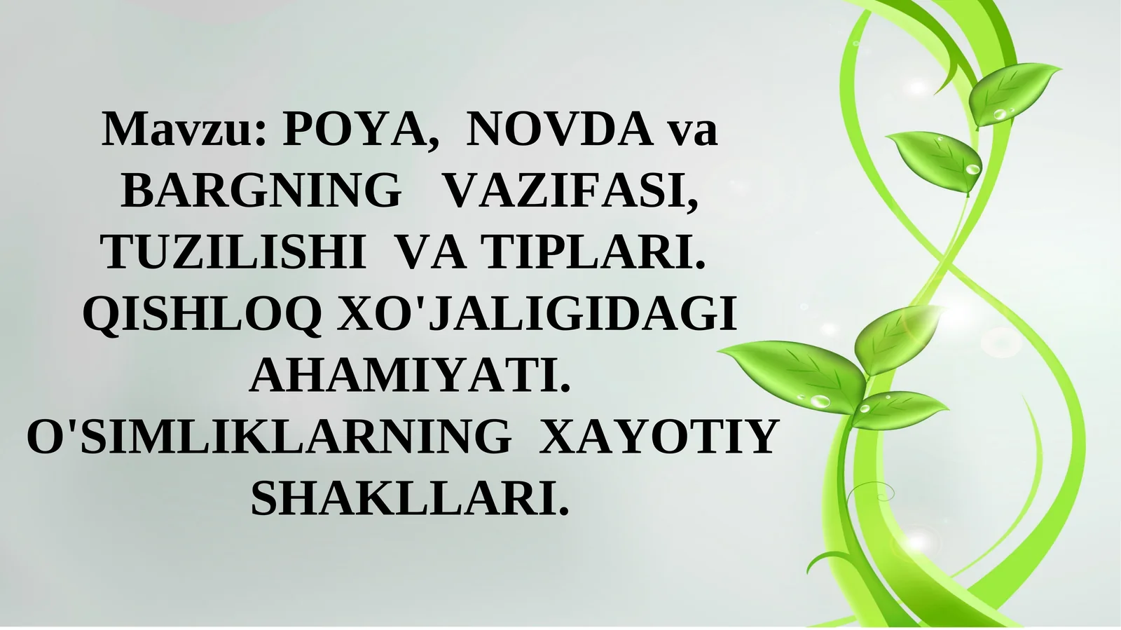 POYA, NOVDA va BARGNING VAZIFASI, TUZILISHI VA TIPLARI