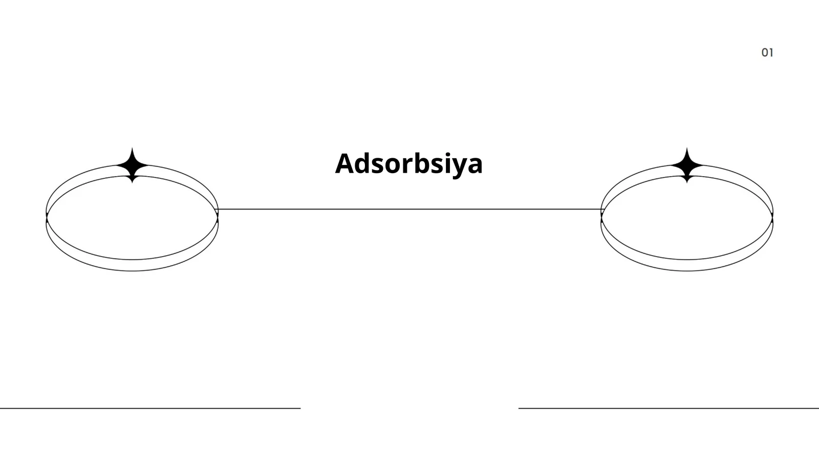 Adsorbsiya Rasulov Erkinjon