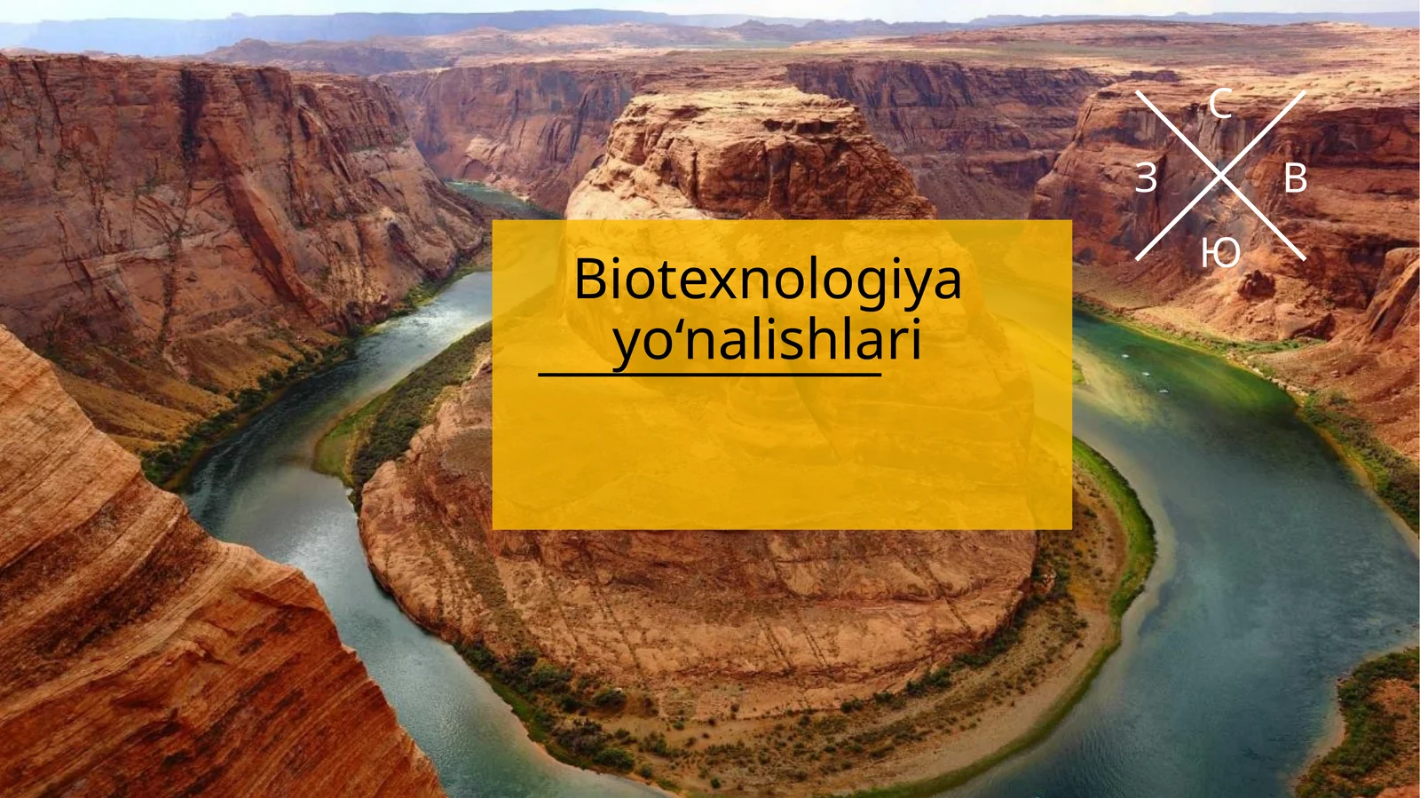 Biotexnologiya yo‘nalishlari