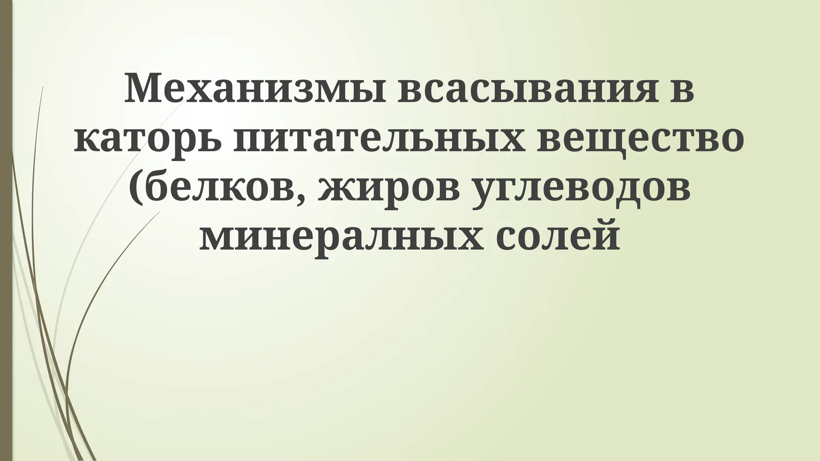Механизмы всасывания в каторь питательных веществ (белков, жиров, углеводов, минеральных солей)