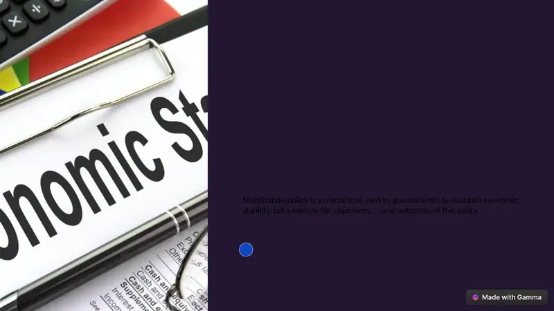 Stabilization Policy