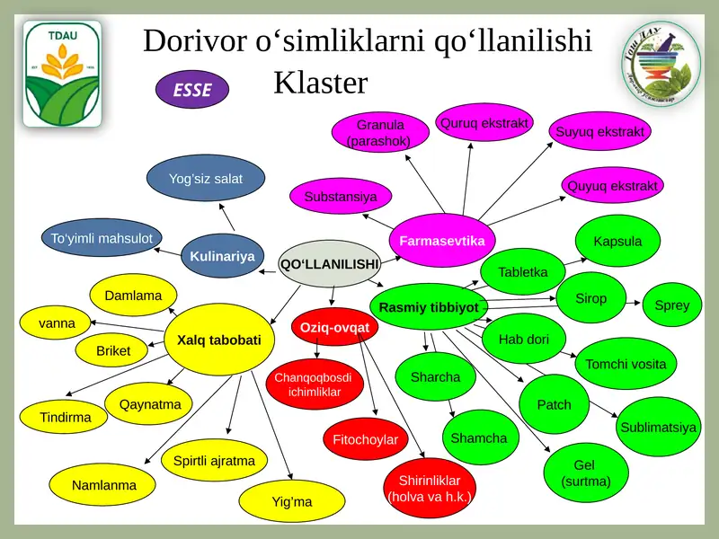 Oddiy jenshen spirtliajratma