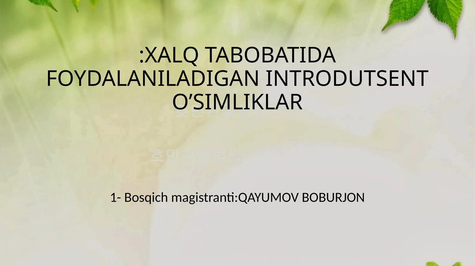 INTRODUTSENT O’SIMLIKLAR