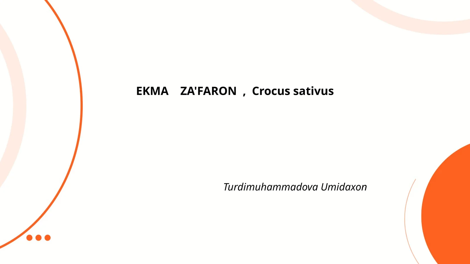 EKMA ZA'FARON, Crocus sativus