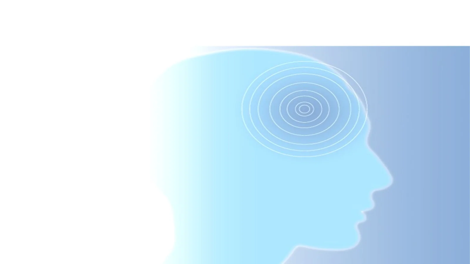 Prezentatsiya taqdimot