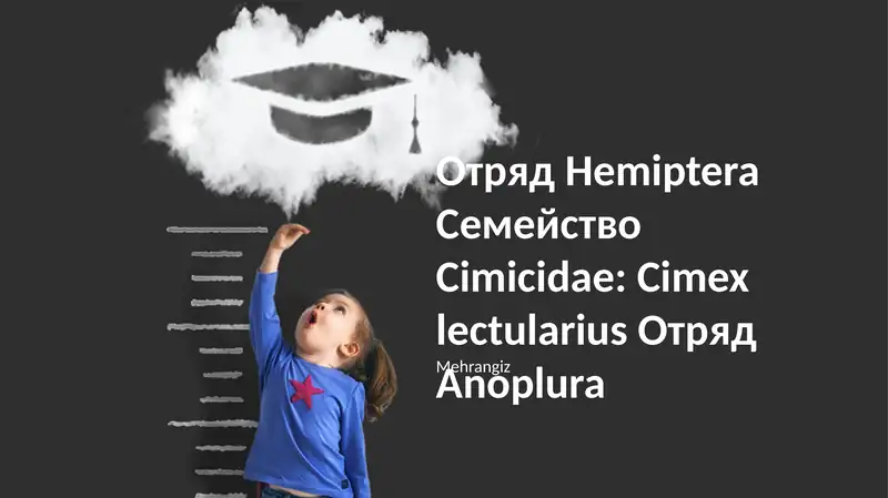Клопы Cimex lectularius имеют сплющенное овальное тело длиной 4-5 мм, коричневого цвета, и питаются кровью человека и других теплокровных животных в ночное время