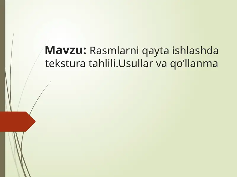 Rasmlarni qayta ishlashda tekstura tahlili. Usullar va qoʻllanma