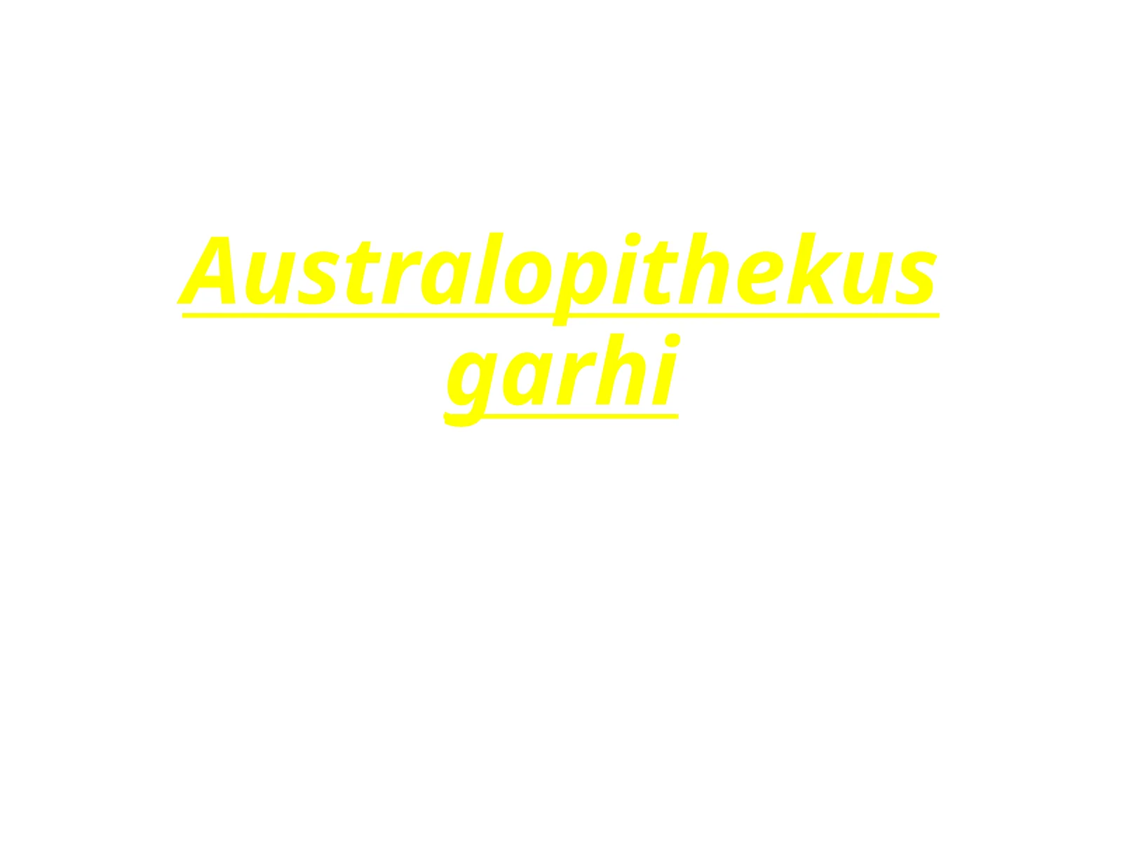 Australopithekusgarhi