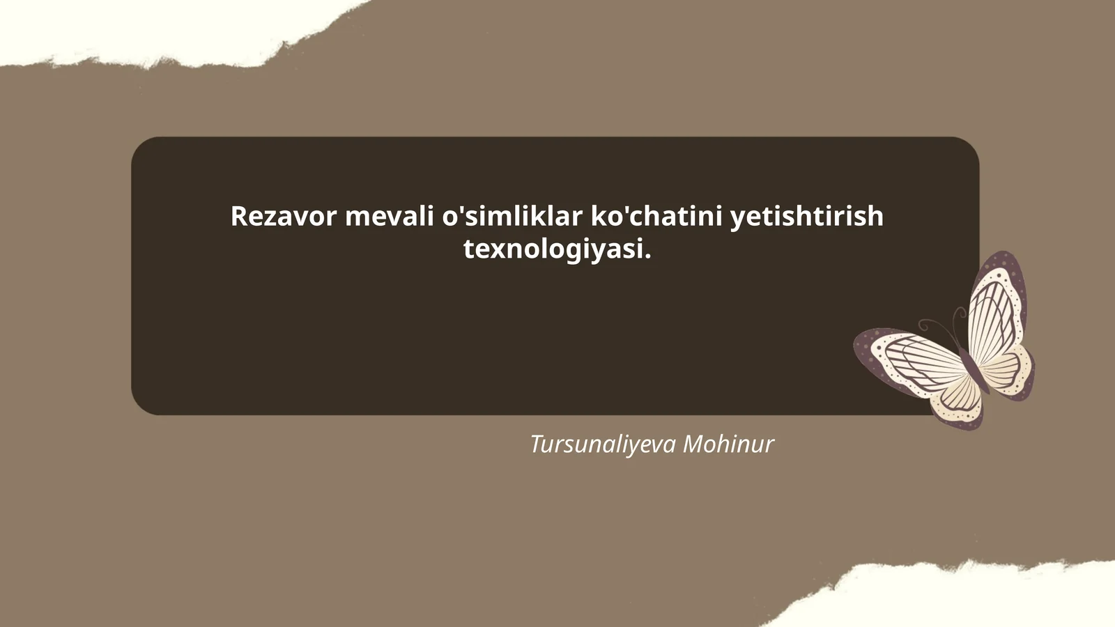 Rezavor mevali o'simliklar ko'chatini yetishtirish texnologiyasi