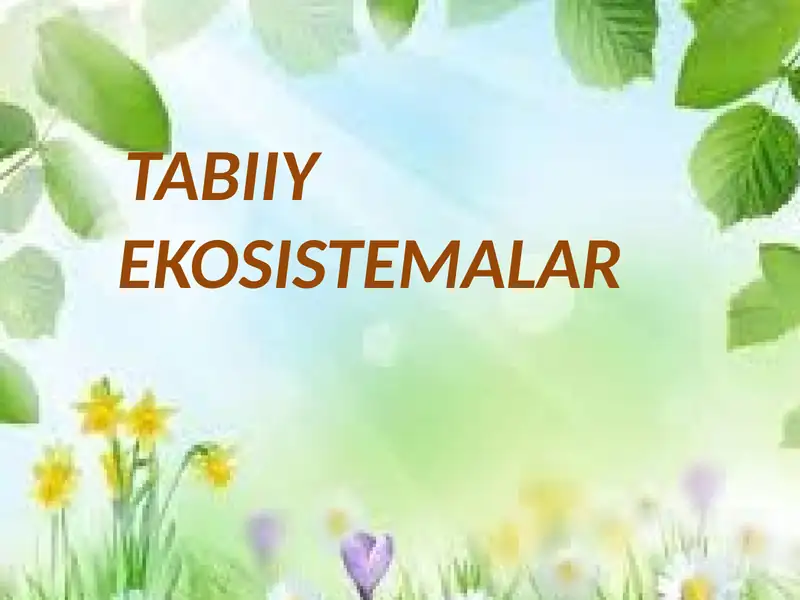card img