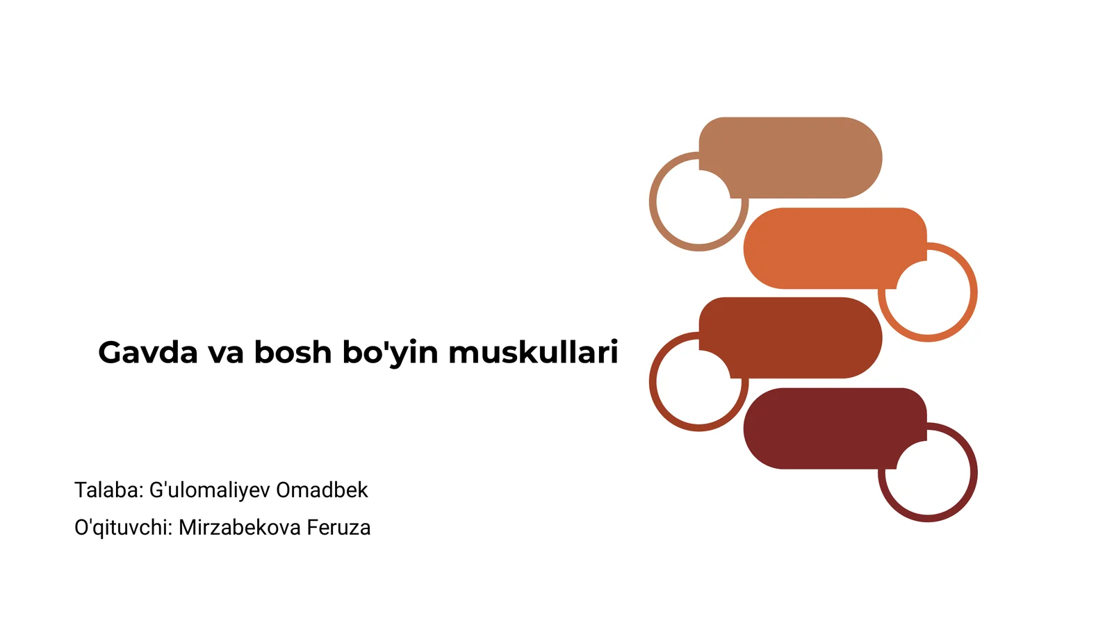 Gavda va bosh bo'yin muskullari