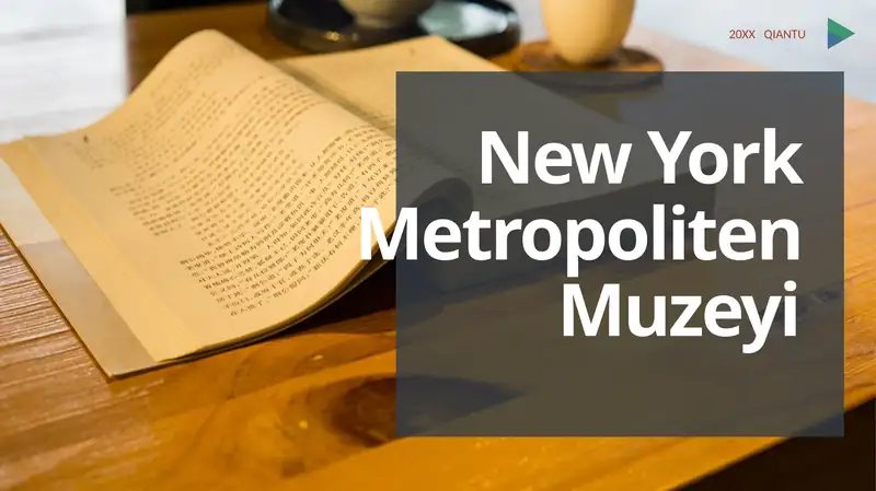 New York Metropoliten Muzeyi
