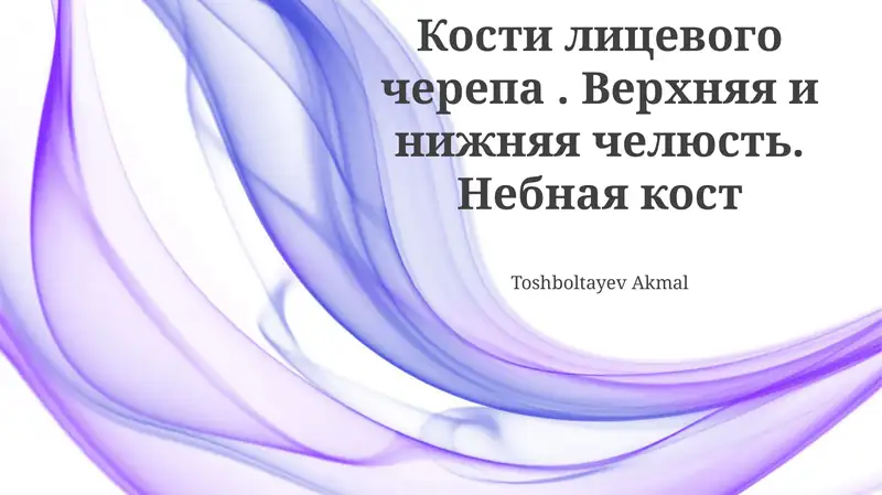 Нижняя челюсть (Mandible)