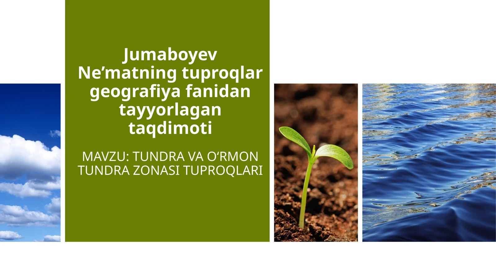 TUNDRA VA OʻRMONTUNDRA ZONASI TUPROQLARI