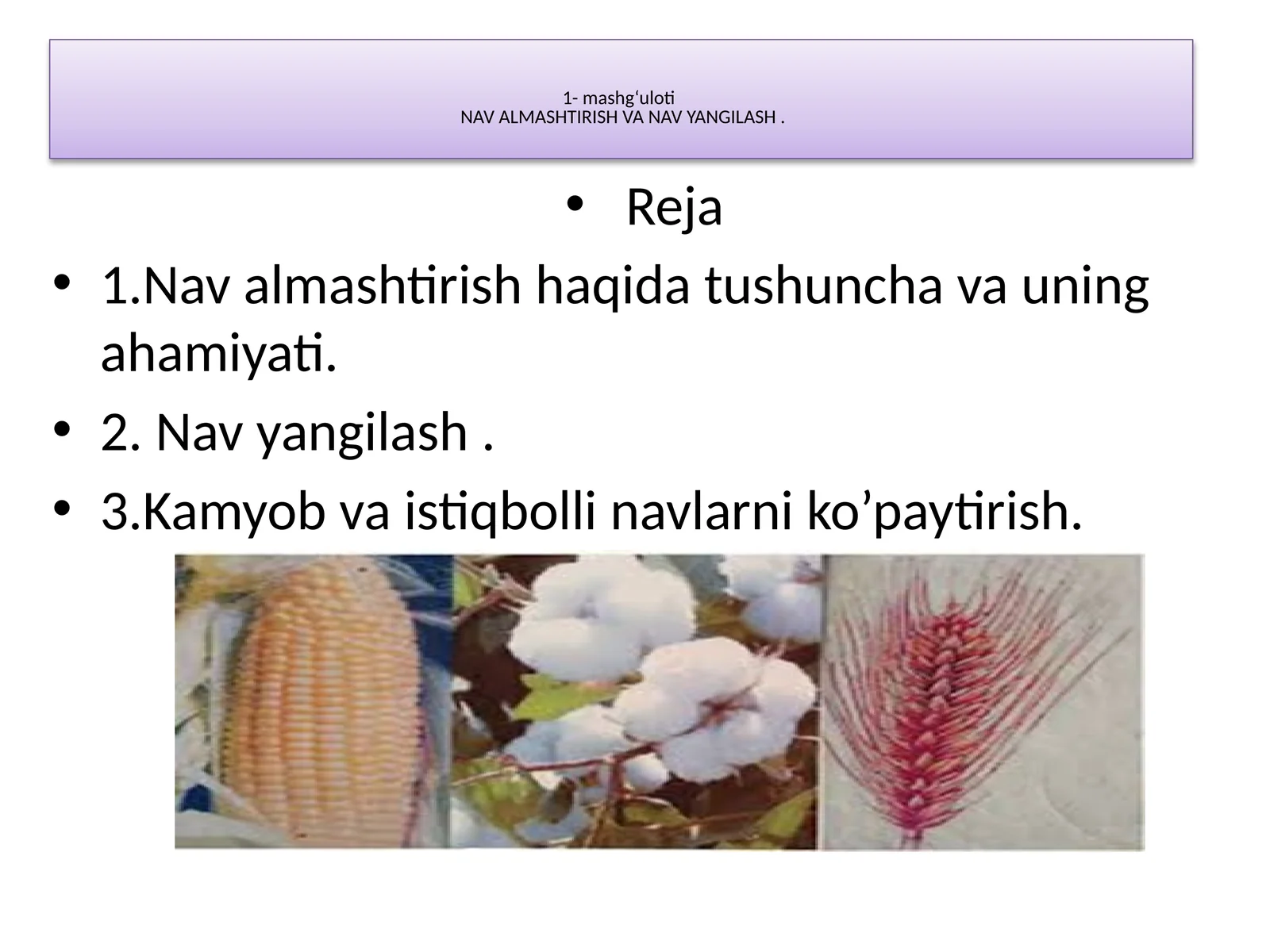 Navalmashtirish va Yangilash