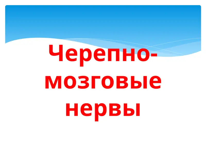 Черепно-мозговые нервы