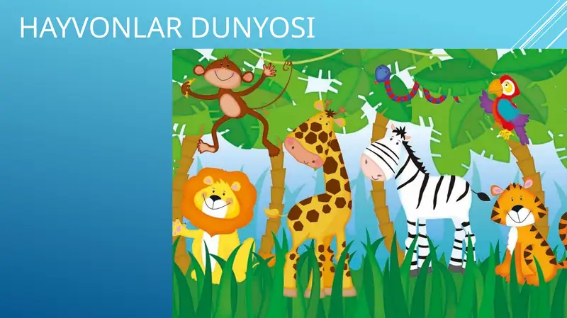 Hayvonlar dunyosi