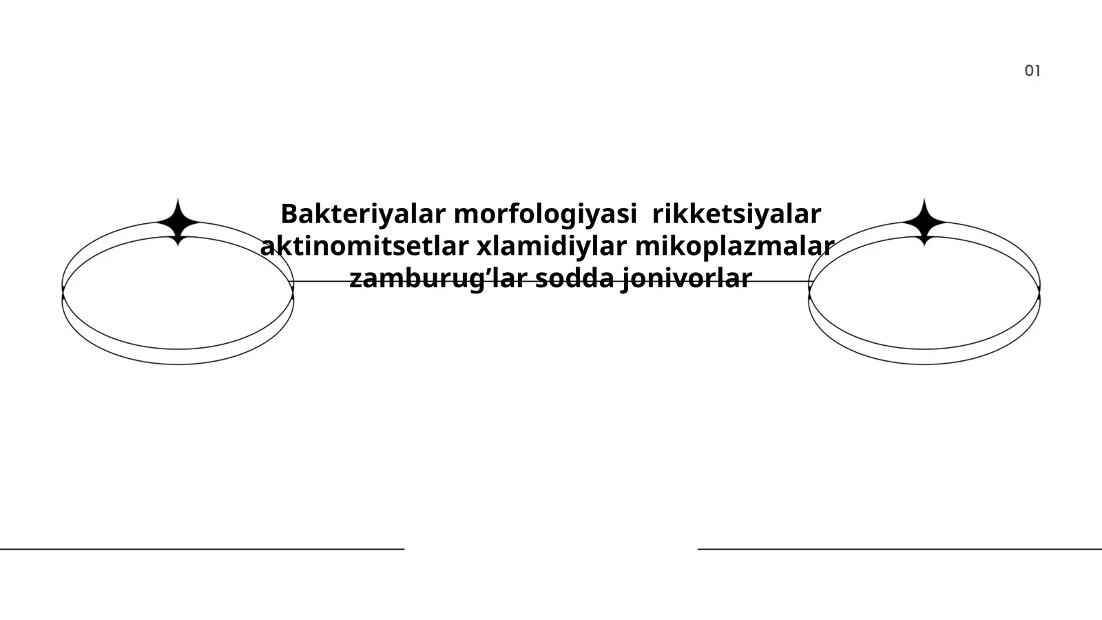 Bakteriyalar morfologiyasi