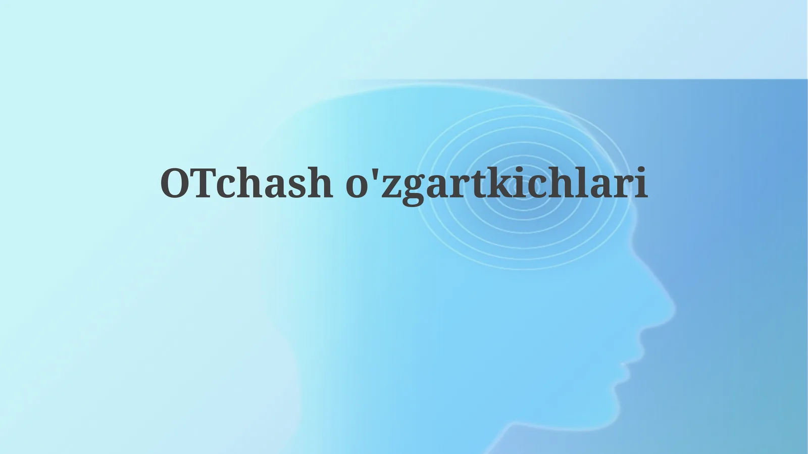 O'zgaruvchi konvertorlari